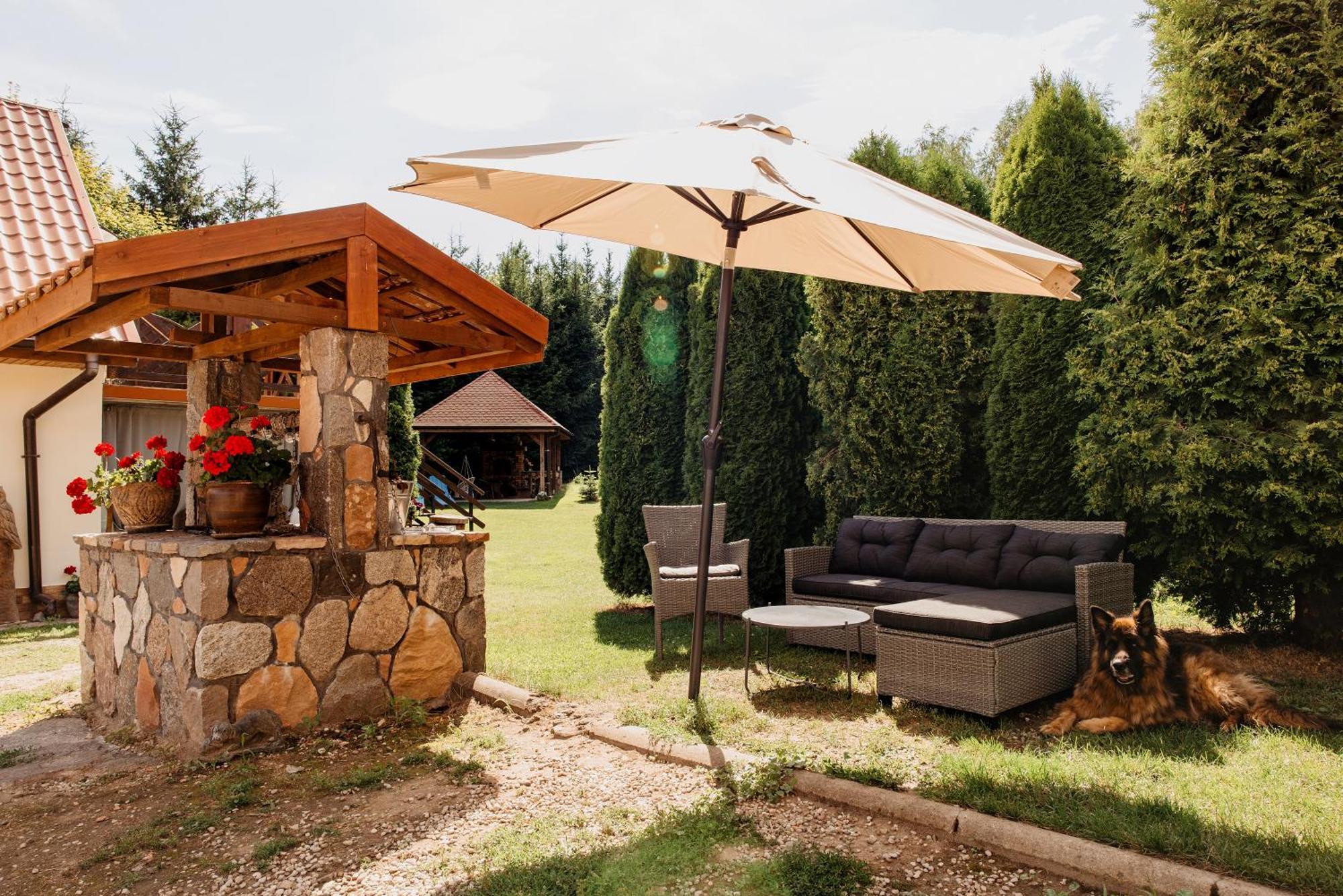 Gospodarstwo Agroturystyczne Z Basenem & Spa I Alpakami Elk Luaran gambar