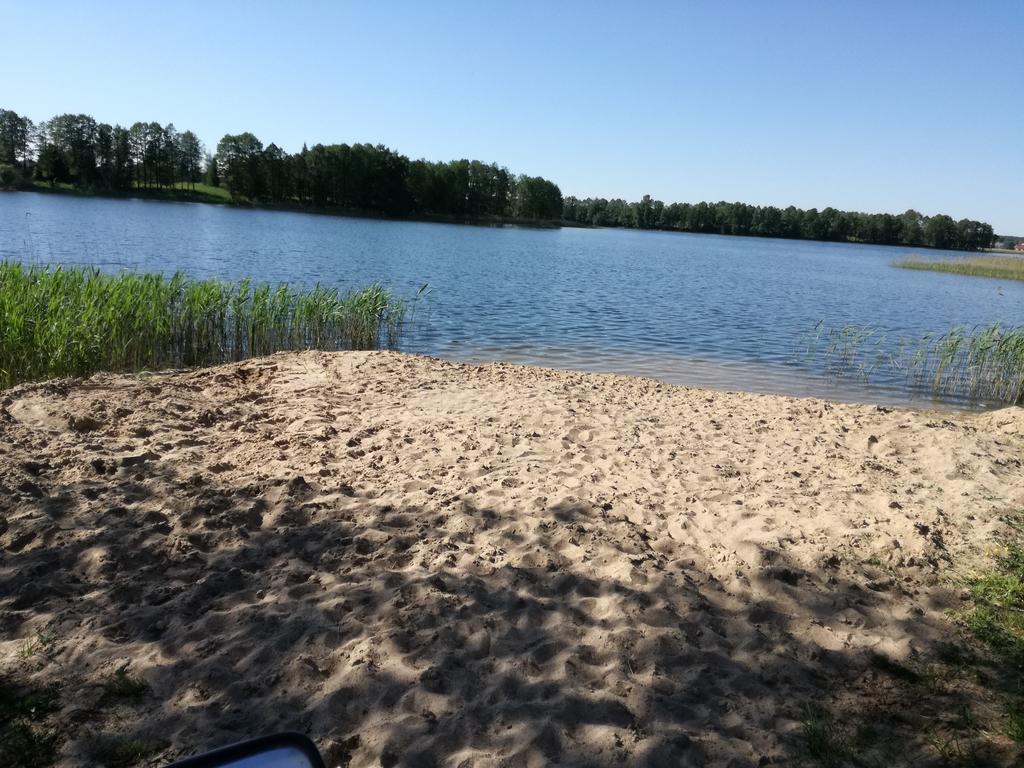Gospodarstwo Agroturystyczne Z Basenem & Spa I Alpakami Elk Luaran gambar